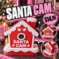 Santa Cam