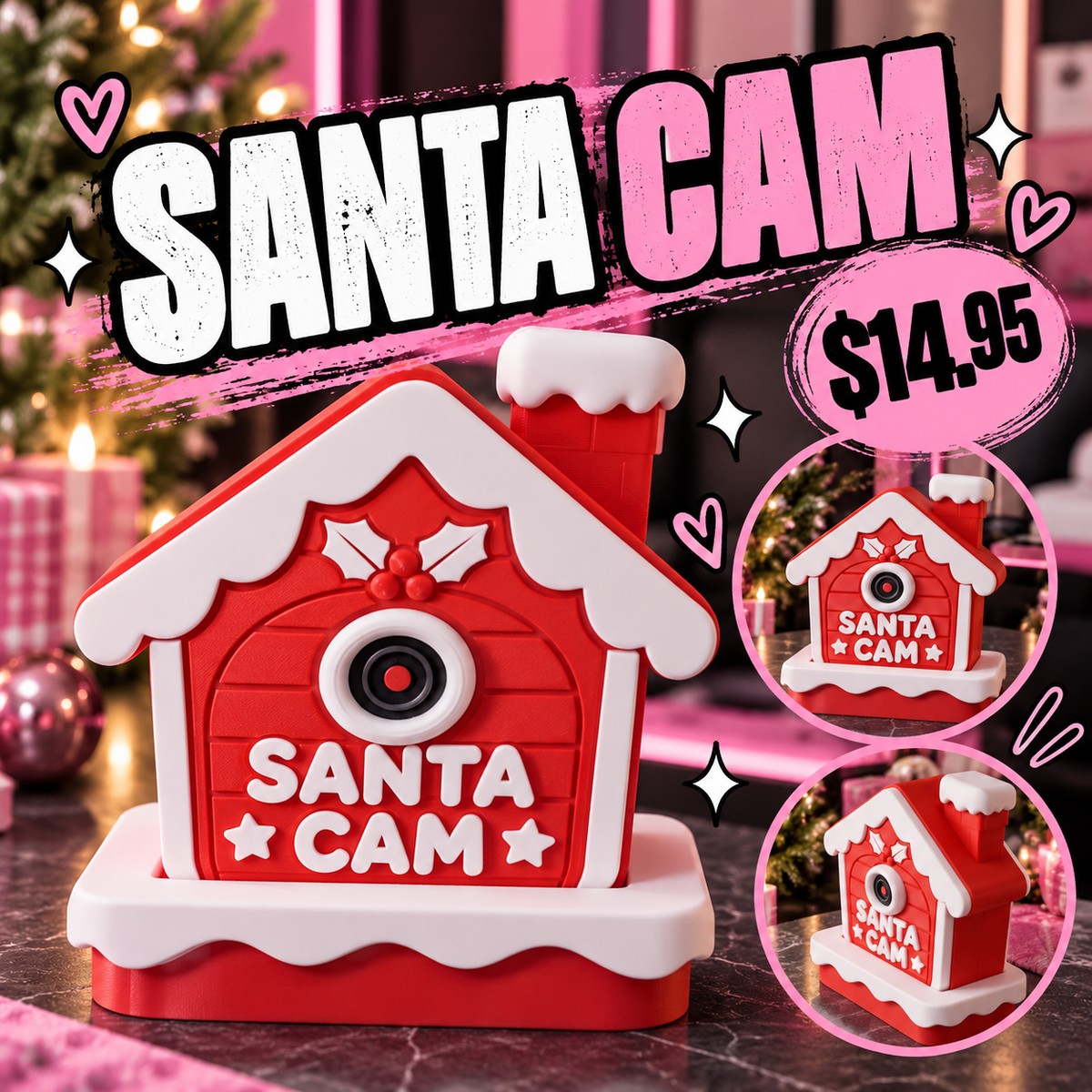 Santa Cam